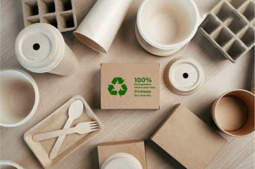 Biodegradable Food Packaging